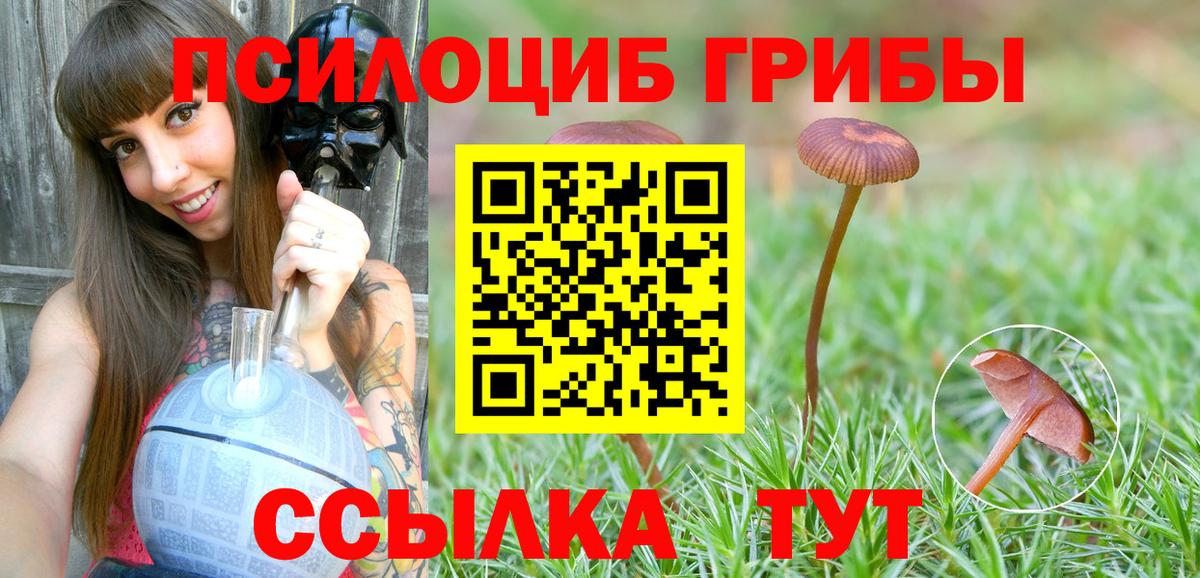 Псилоцибиновые грибы мухоморы  Вход с VPN  Торжок 